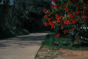 BIB: 
                            <button type="button" onclick="openModal(26139642)" class="btn btn-primary btn-sm float-right btn-popup" data-toggle="modal" data-target=".modal-high-quality">
                        <i class="fas fa-shopping-cart"></i> Add to Cart
                    </button>
                                            <button type="button" onclick="isThisMe(26139642, true)" class="btn btn-success btn-sm float-right btn-popup btn-isme hidden" data-toggle="tooltip" data-placement="bottom" title="นี่คือรูปของคุณใช่ไหม คลิกที่นี่เพื่อเอาเข้าอัลบั้ม">
                        <i class="fas fa-plus"></i> Add to album
                    </button>
                    <button type="button" onclick="isThisMe(26139642, false)" class="btn btn-warning btn-sm float-right btn-popup btn-isnotme hidden">
                        <i class="fas fa-ban"></i> Remove from album
                    </button>